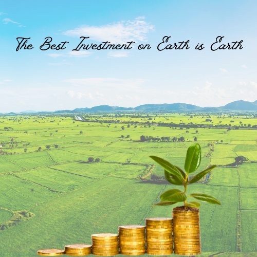 Hyderabad real estate investing pcc realty